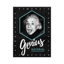 Nostalgic-Art Einstein Genius Magnet (6x8cm)