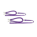 2-Dog Nylon Walkers with Lead