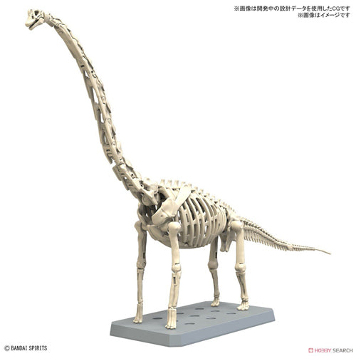 Plannosaurus Brachiosaurus Model