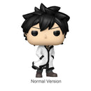 Fairy Tail: 100 Year Quest Gray Pop! Vinyl (Chase Ships 1 in 6)