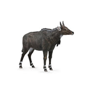 CollectA Nilgai Figure (Large)