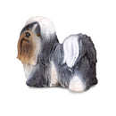 CollectA Shih Tzu Figure (Medium)