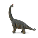 Collecta brachiosaurus dinosaurus figuur