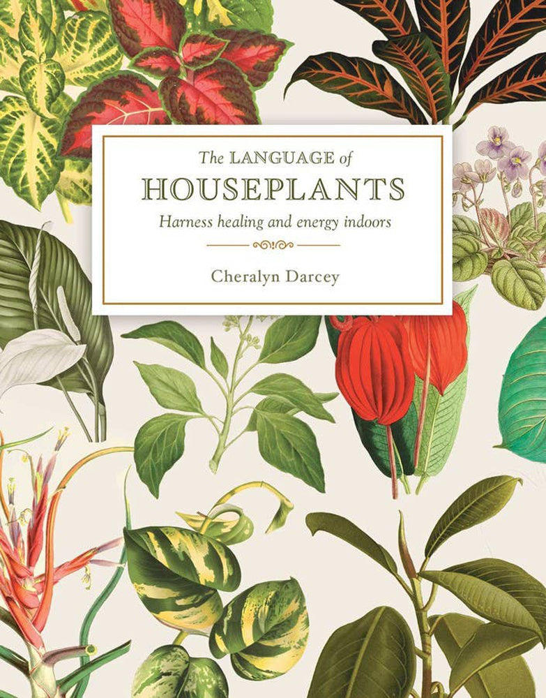 Language of Houseplants Book
