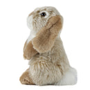 Living Nature Brown Sitting Lop Eared Rabbit