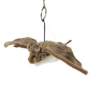 Living Nature Bat (Small)
