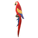 Ara écarlate de Hansa