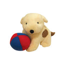 Repérez le chien avec un nounours ou une balle