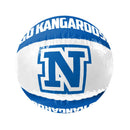 AFL opblaasbare strandbal