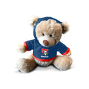 Nrl pluche teddy met hoodie
