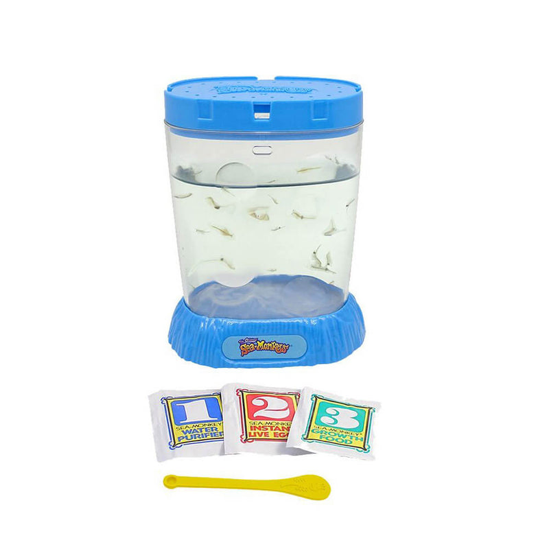 NEU Erstaunliche lebende Seeaffen